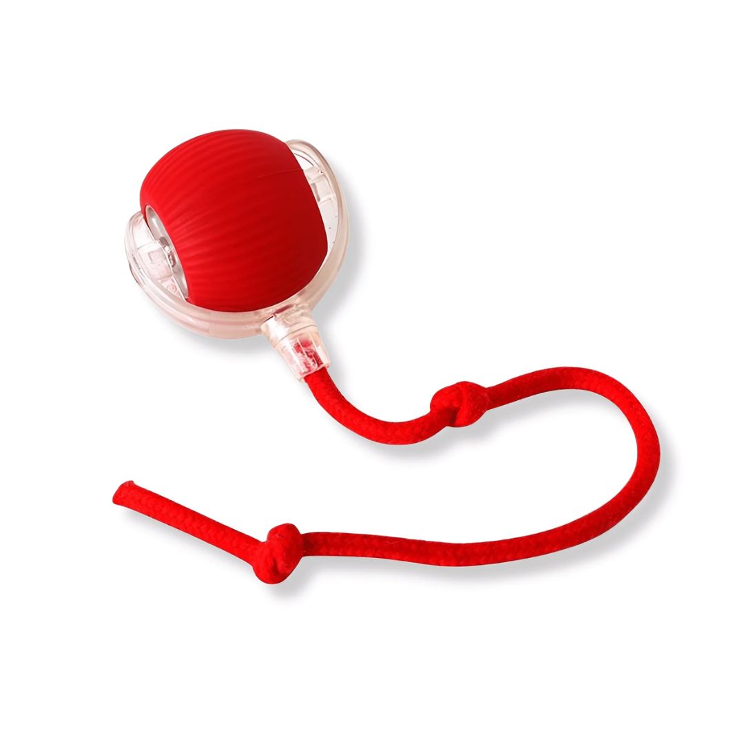 SpeedyBall™ – Zelfstandig Speelplezier voor Huisdieren