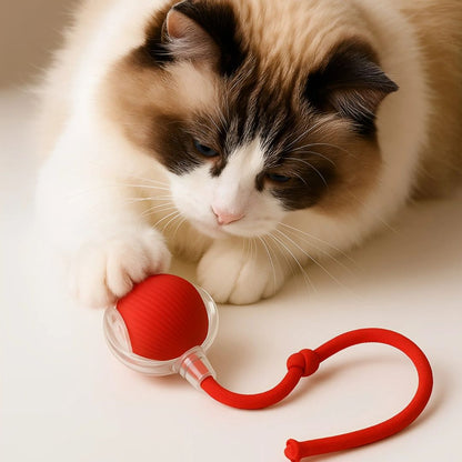 SpeedyBall™ – Zelfstandig Speelplezier voor Huisdieren