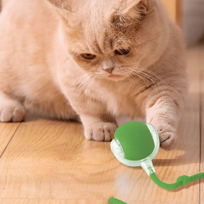 SpeedyBall™ – Zelfstandig Speelplezier voor Huisdieren