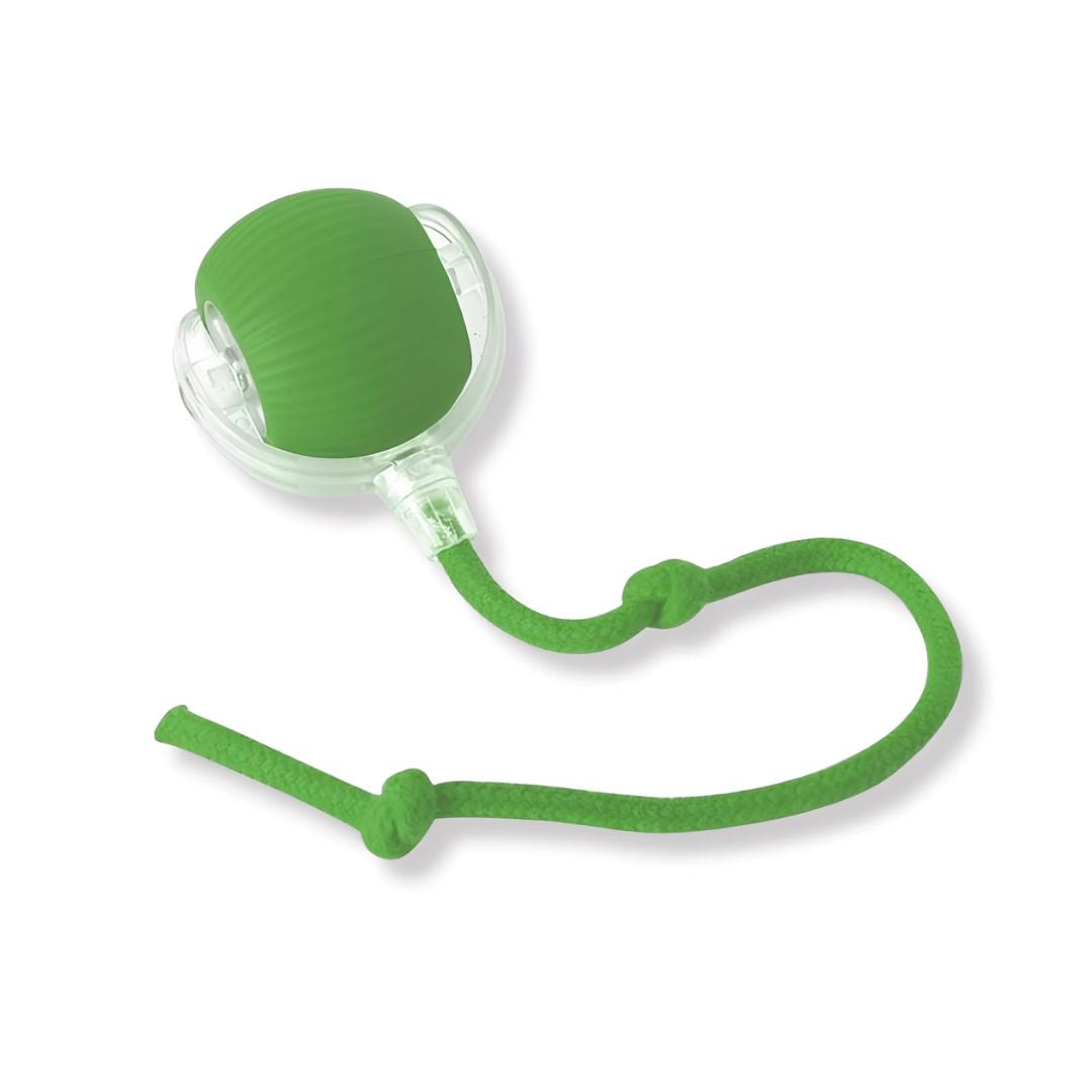 SpeedyBall™ – Zelfstandig Speelplezier voor Huisdieren